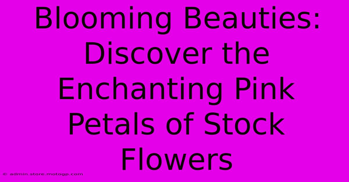 Blooming Beauties: Discover The Enchanting Pink Petals Of Stock Flowers