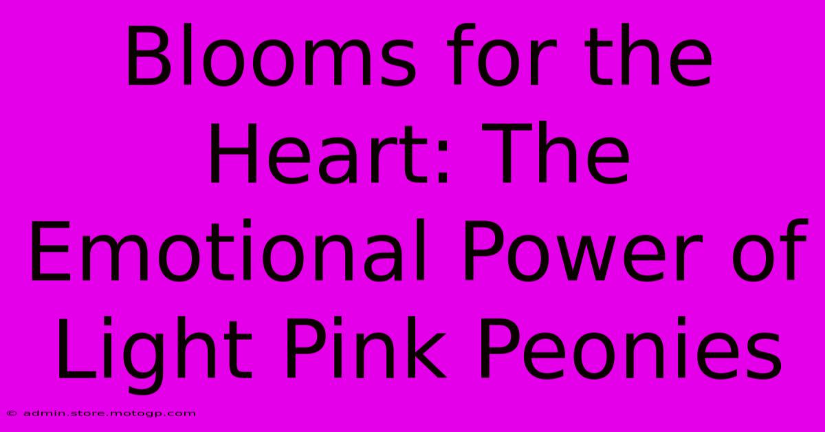 Blooms For The Heart: The Emotional Power Of Light Pink Peonies