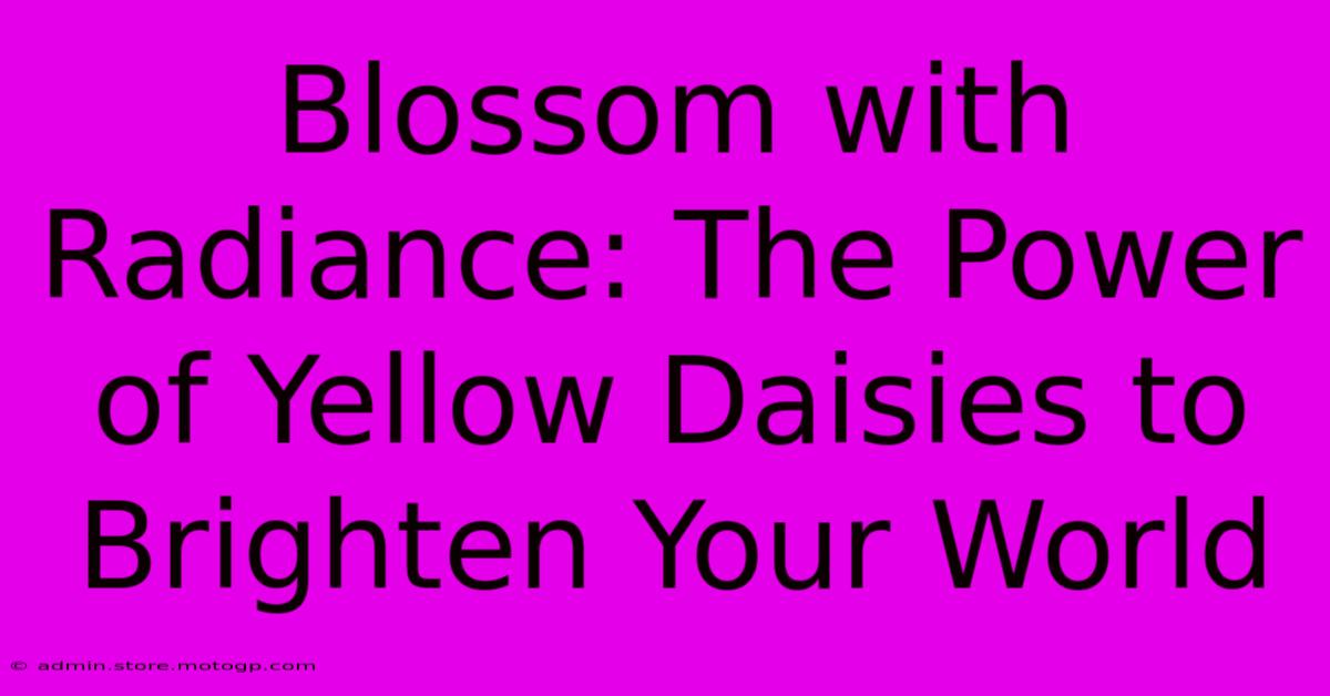 Blossom With Radiance: The Power Of Yellow Daisies To Brighten Your World