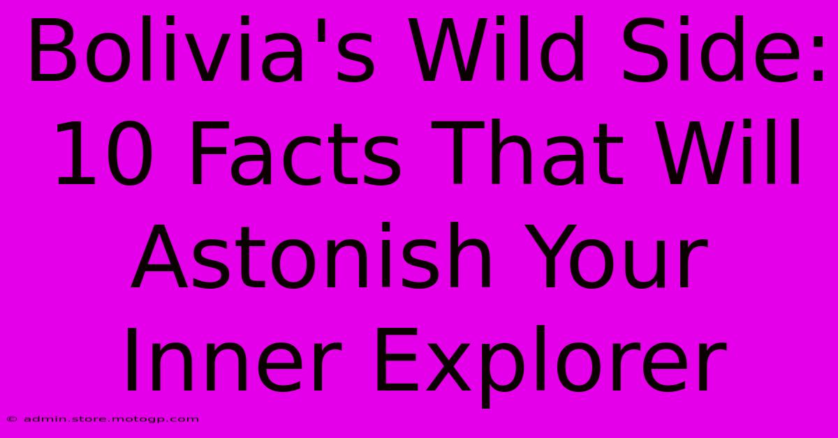 Bolivia's Wild Side: 10 Facts That Will Astonish Your Inner Explorer