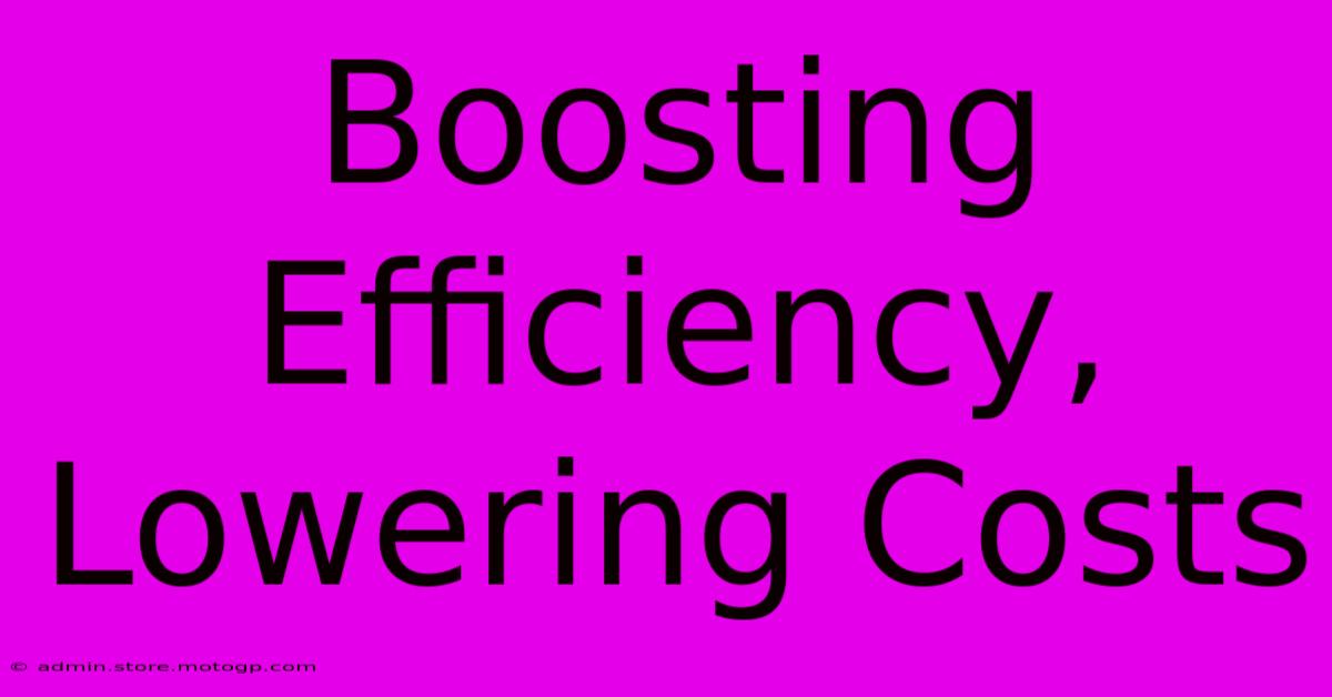 Boosting Efficiency, Lowering Costs