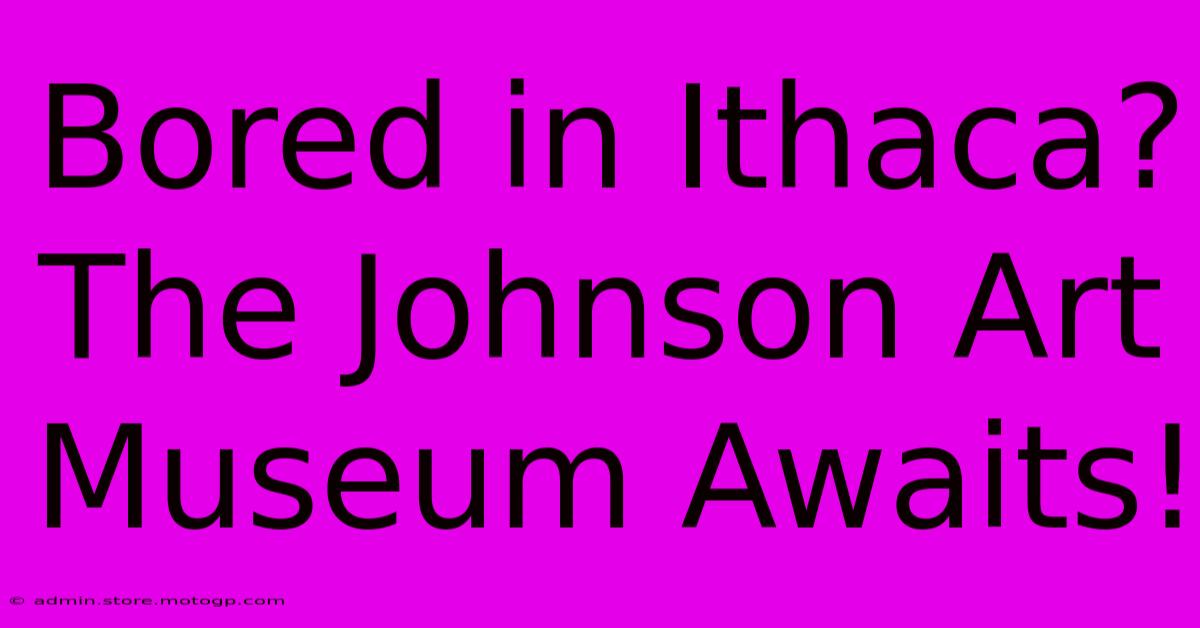 Bored In Ithaca?  The Johnson Art Museum Awaits!