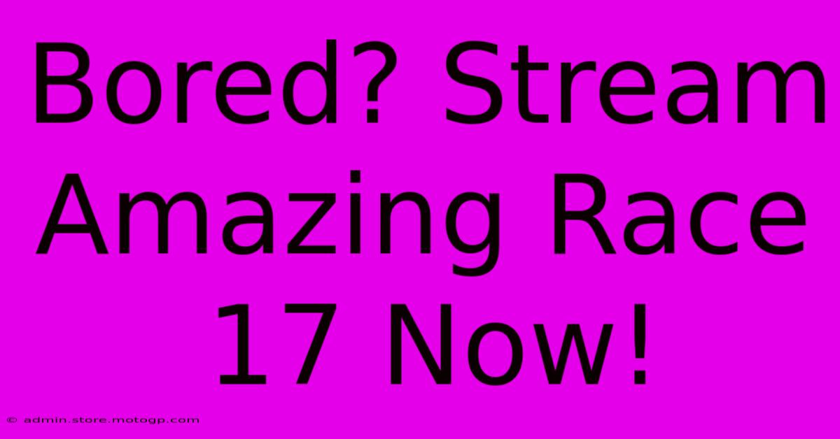 Bored? Stream Amazing Race 17 Now!