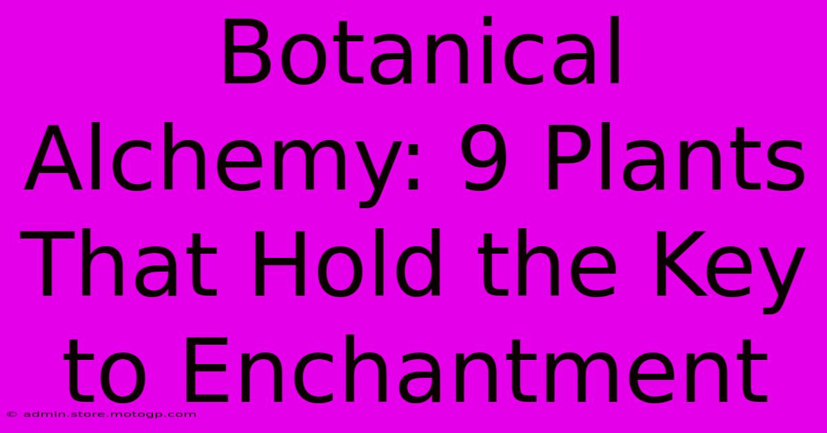 Botanical Alchemy: 9 Plants That Hold The Key To Enchantment