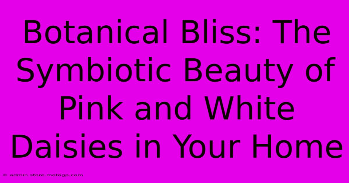 Botanical Bliss: The Symbiotic Beauty Of Pink And White Daisies In Your Home