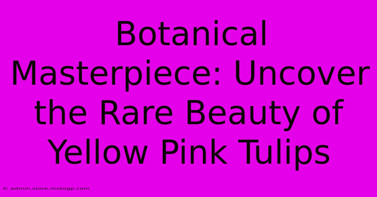 Botanical Masterpiece: Uncover The Rare Beauty Of Yellow Pink Tulips