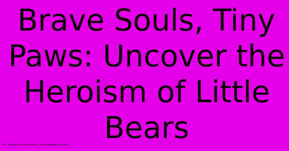 Brave Souls, Tiny Paws: Uncover The Heroism Of Little Bears