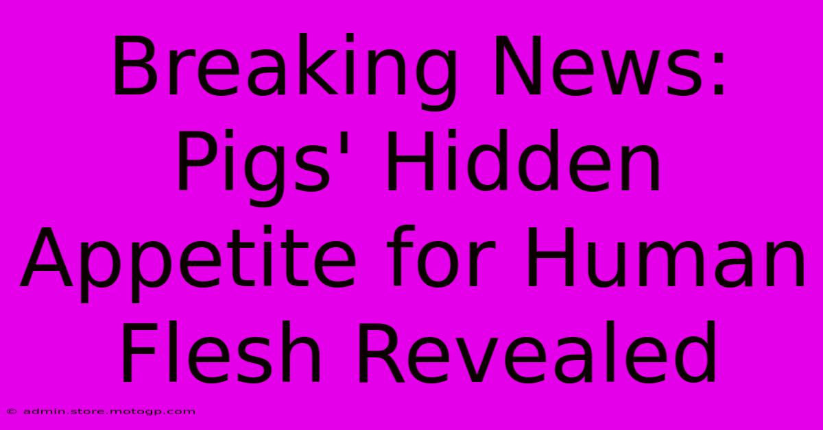 Breaking News: Pigs' Hidden Appetite For Human Flesh Revealed