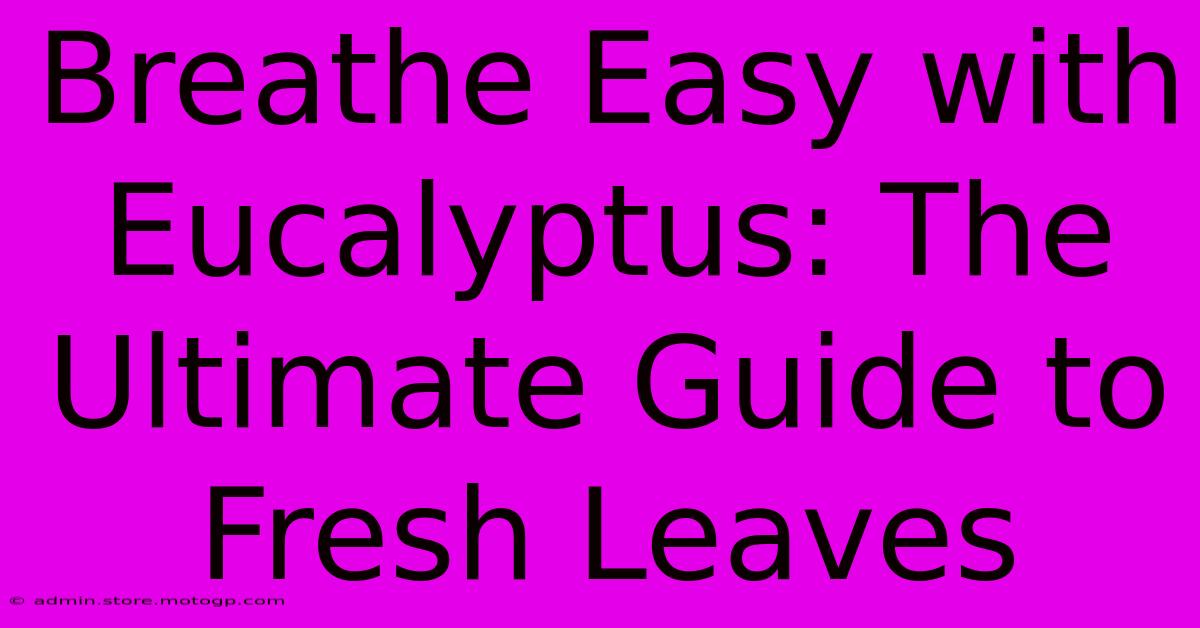 Breathe Easy With Eucalyptus: The Ultimate Guide To Fresh Leaves