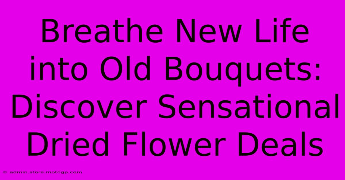 Breathe New Life Into Old Bouquets: Discover Sensational Dried Flower Deals