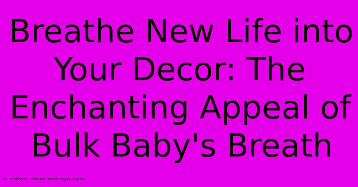 Breathe New Life Into Your Decor: The Enchanting Appeal Of Bulk Baby's Breath