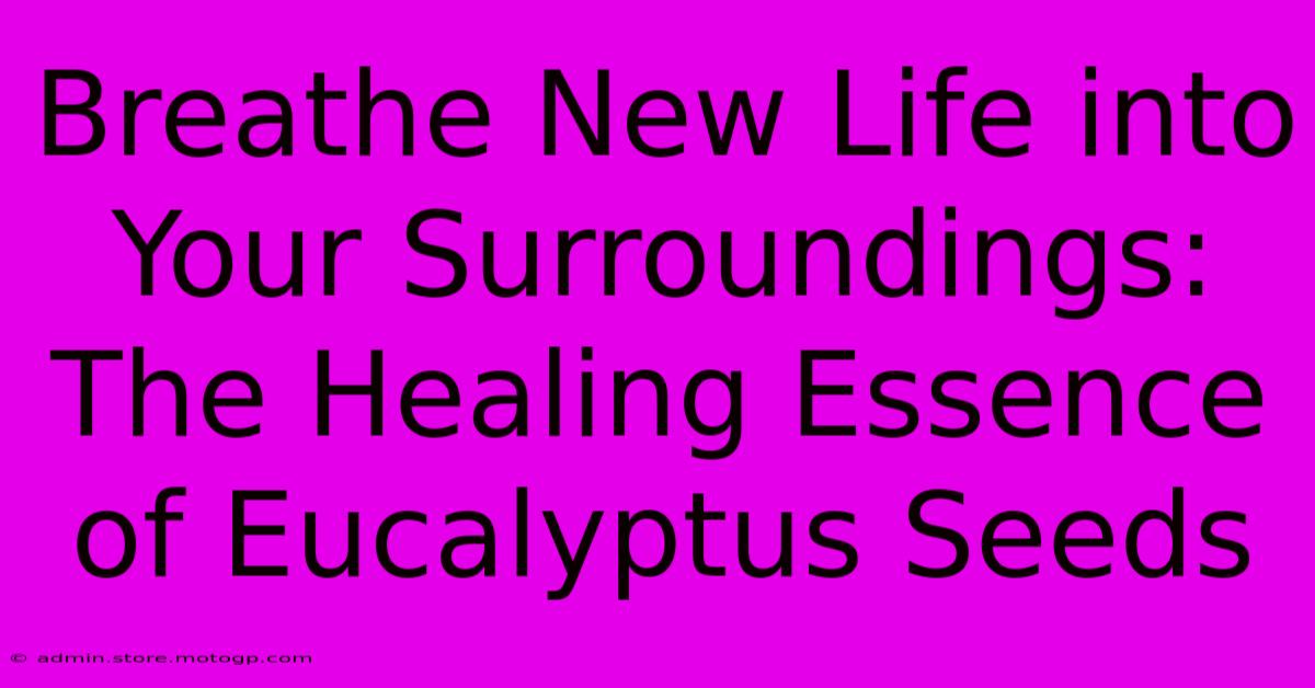 Breathe New Life Into Your Surroundings: The Healing Essence Of Eucalyptus Seeds