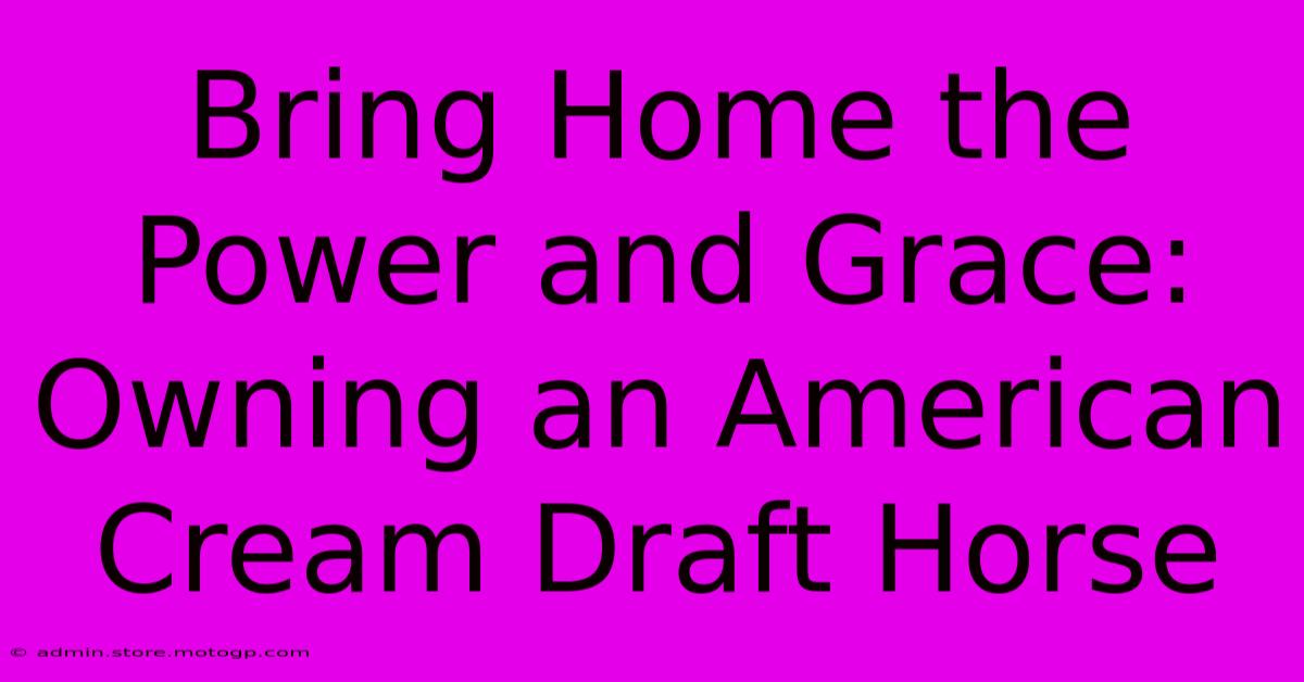 Bring Home The Power And Grace: Owning An American Cream Draft Horse