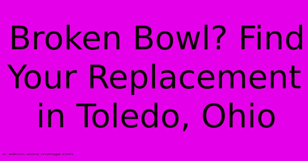 Broken Bowl? Find Your Replacement In Toledo, Ohio