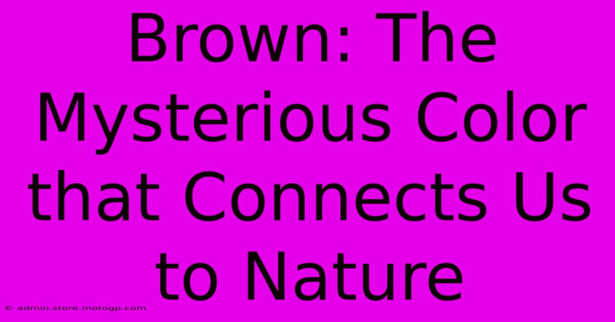 Brown: The Mysterious Color That Connects Us To Nature