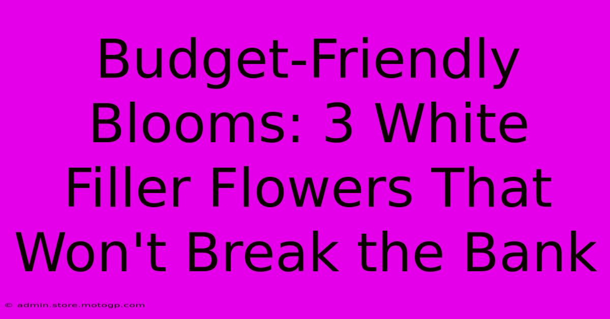 Budget-Friendly Blooms: 3 White Filler Flowers That Won't Break The Bank