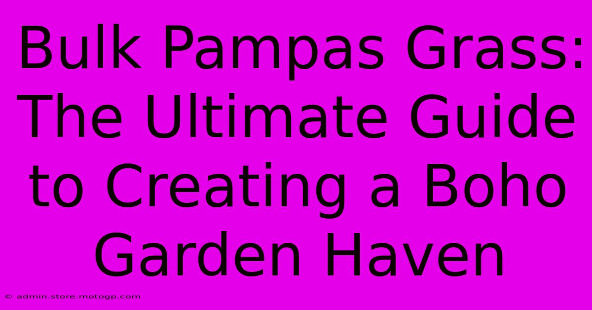 Bulk Pampas Grass: The Ultimate Guide To Creating A Boho Garden Haven