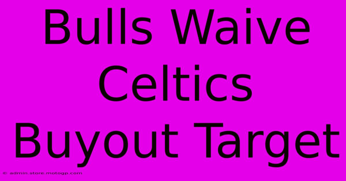 Bulls Waive Celtics Buyout Target