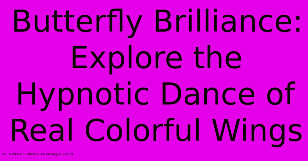 Butterfly Brilliance: Explore The Hypnotic Dance Of Real Colorful Wings