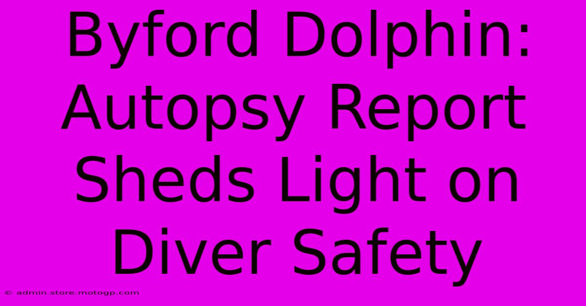 Byford Dolphin: Autopsy Report Sheds Light On Diver Safety