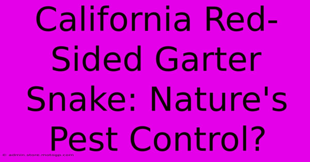 California Red-Sided Garter Snake: Nature's Pest Control?