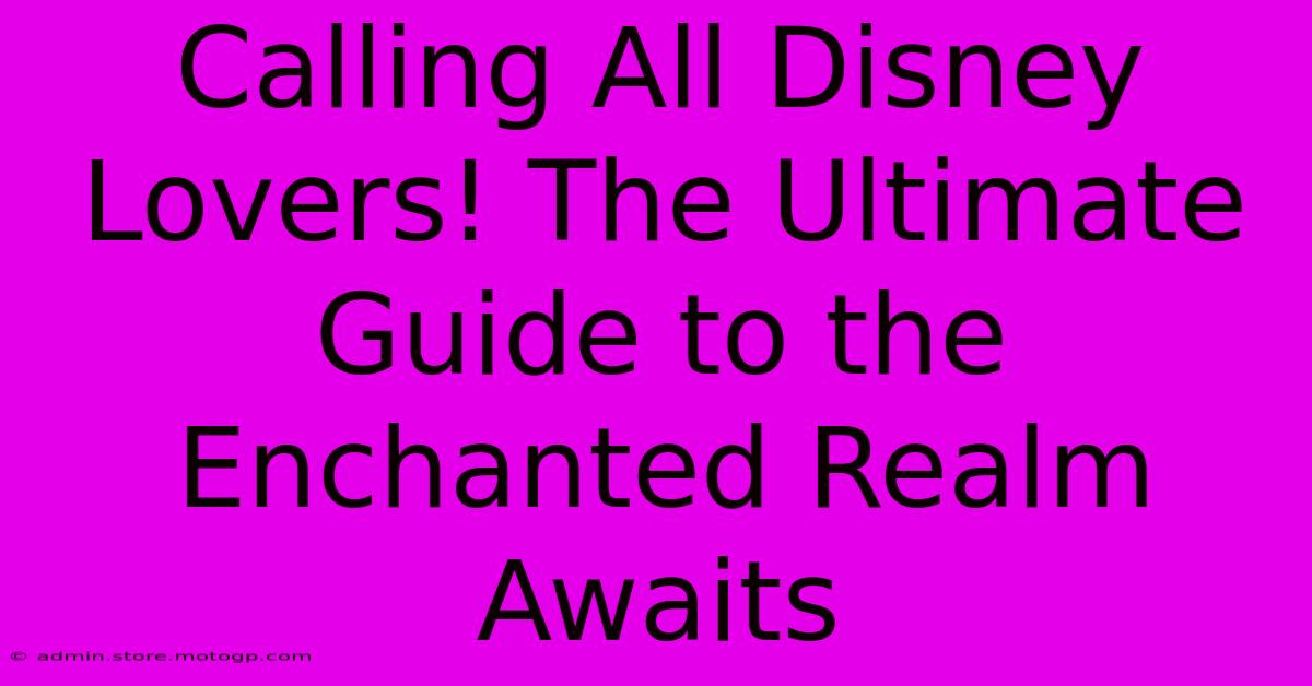 Calling All Disney Lovers! The Ultimate Guide To The Enchanted Realm Awaits