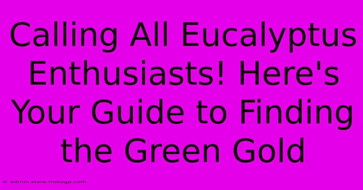 Calling All Eucalyptus Enthusiasts! Here's Your Guide To Finding The Green Gold