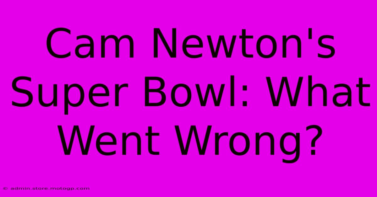 Cam Newton's Super Bowl: What Went Wrong?