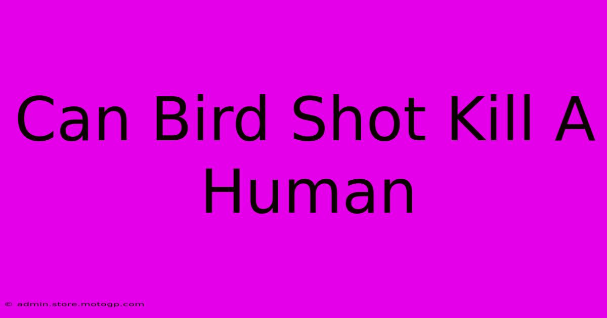 can bird shot kill a human