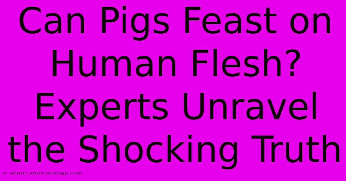 Can Pigs Feast On Human Flesh? Experts Unravel The Shocking Truth