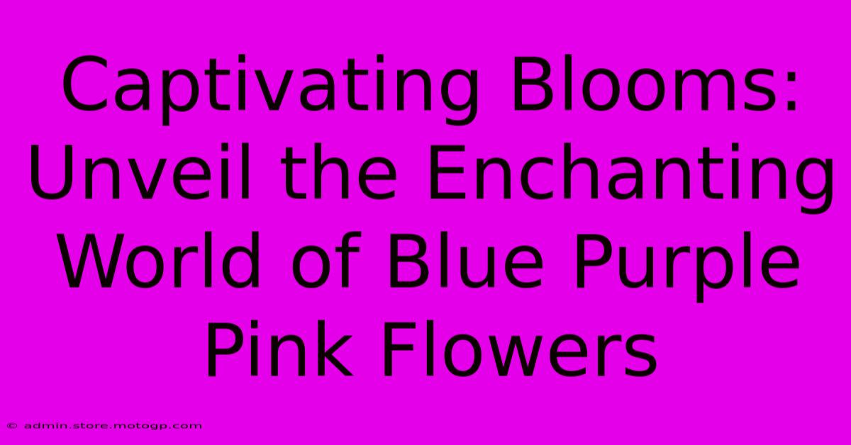 Captivating Blooms: Unveil The Enchanting World Of Blue Purple Pink Flowers