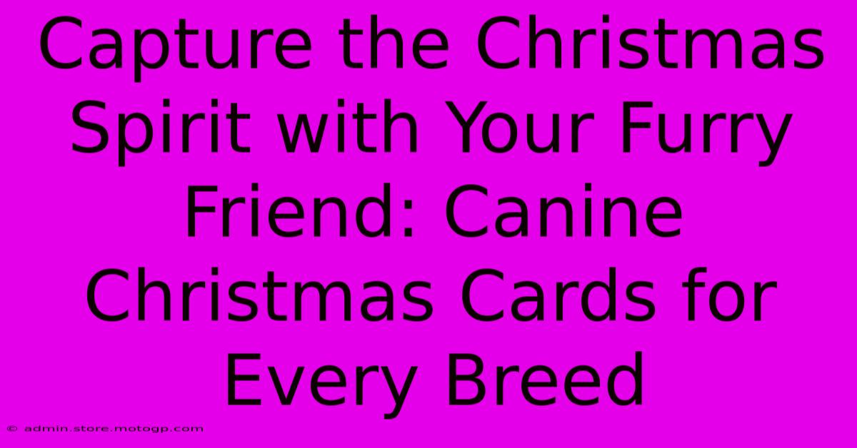 Capture The Christmas Spirit With Your Furry Friend: Canine Christmas Cards For Every Breed