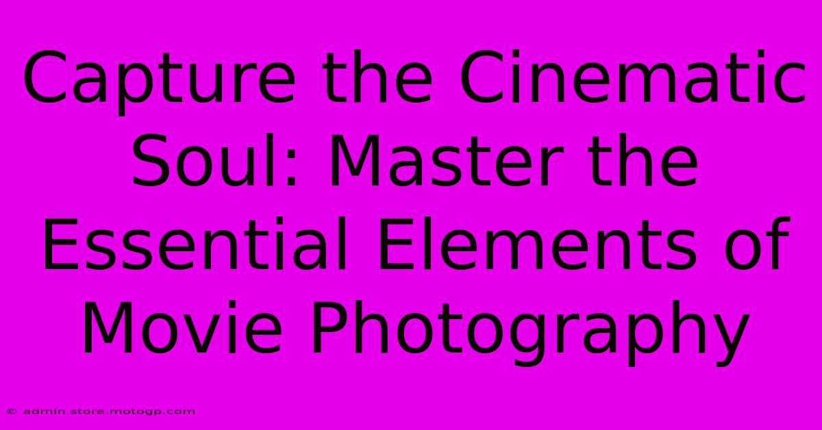 Capture The Cinematic Soul: Master The Essential Elements Of Movie Photography