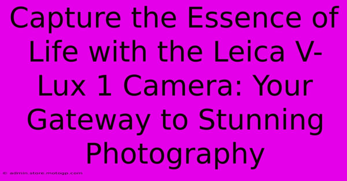 Capture The Essence Of Life With The Leica V-Lux 1 Camera: Your Gateway To Stunning Photography