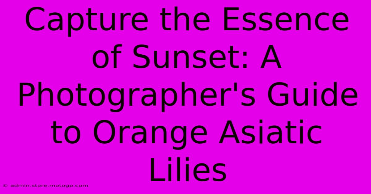 Capture The Essence Of Sunset: A Photographer's Guide To Orange Asiatic Lilies