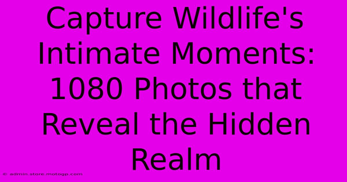 Capture Wildlife's Intimate Moments: 1080 Photos That Reveal The Hidden Realm