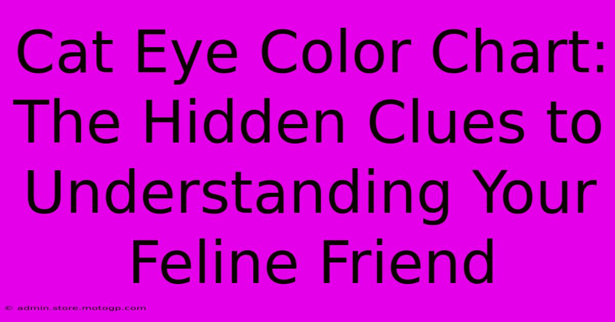 Cat Eye Color Chart: The Hidden Clues To Understanding Your Feline Friend