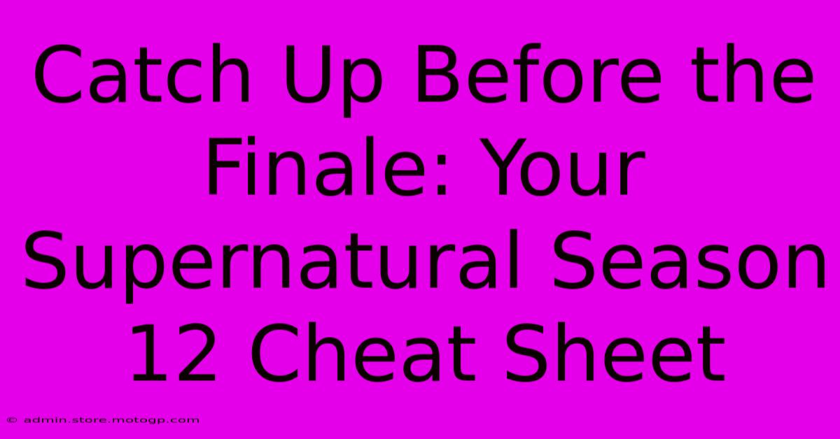 Catch Up Before The Finale: Your Supernatural Season 12 Cheat Sheet