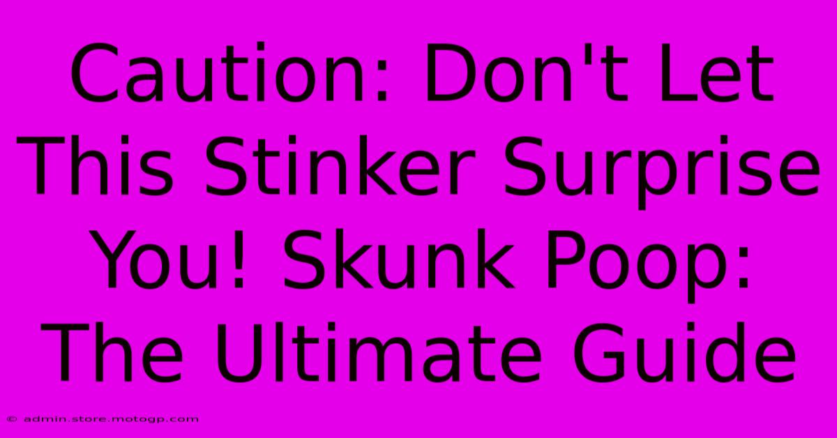 Caution: Don't Let This Stinker Surprise You! Skunk Poop: The Ultimate Guide