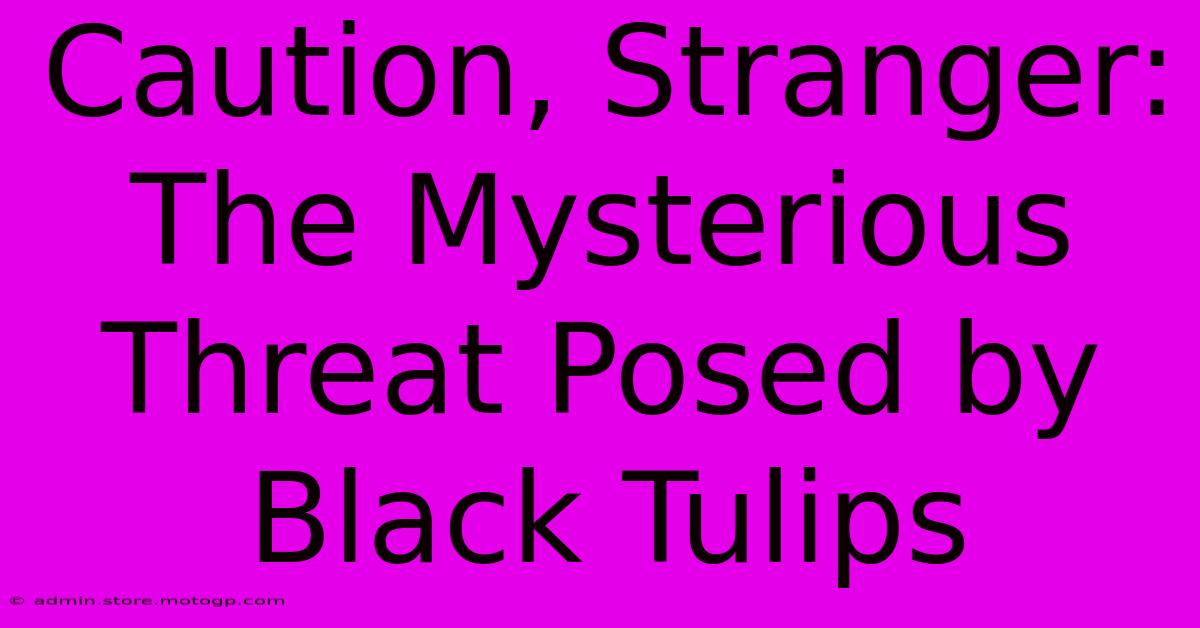 Caution, Stranger: The Mysterious Threat Posed By Black Tulips