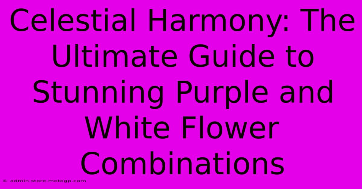 Celestial Harmony: The Ultimate Guide To Stunning Purple And White Flower Combinations