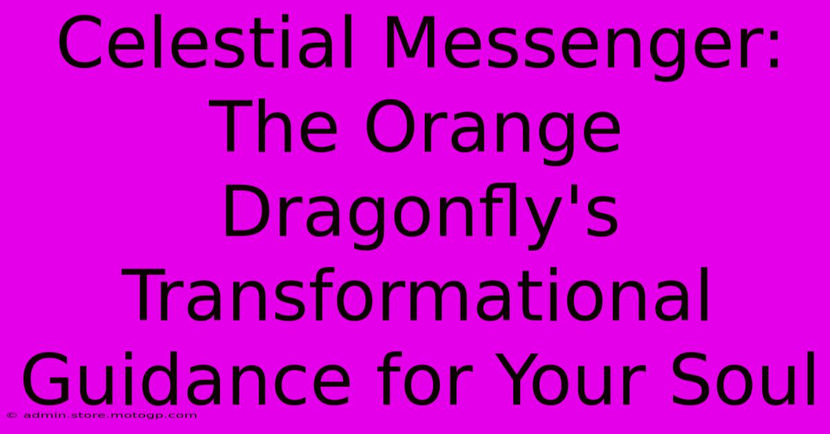 Celestial Messenger: The Orange Dragonfly's Transformational Guidance For Your Soul