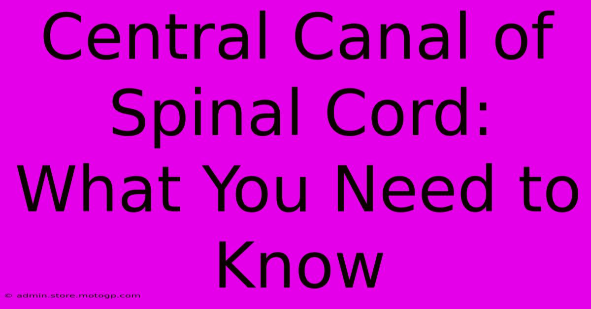 Central Canal Of Spinal Cord: What You Need To Know