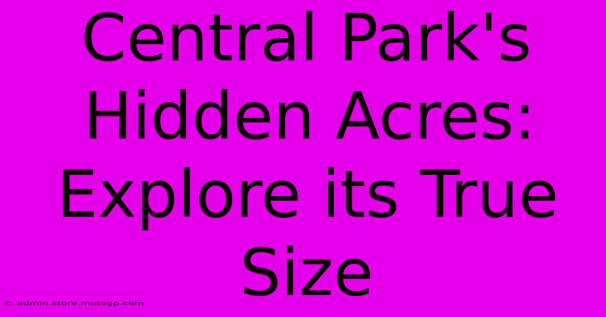 Central Park's Hidden Acres: Explore Its True Size