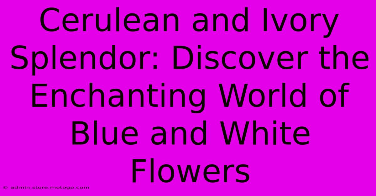 Cerulean And Ivory Splendor: Discover The Enchanting World Of Blue And White Flowers