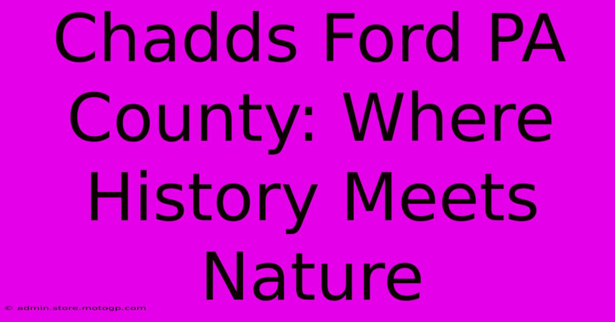 Chadds Ford PA County: Where History Meets Nature