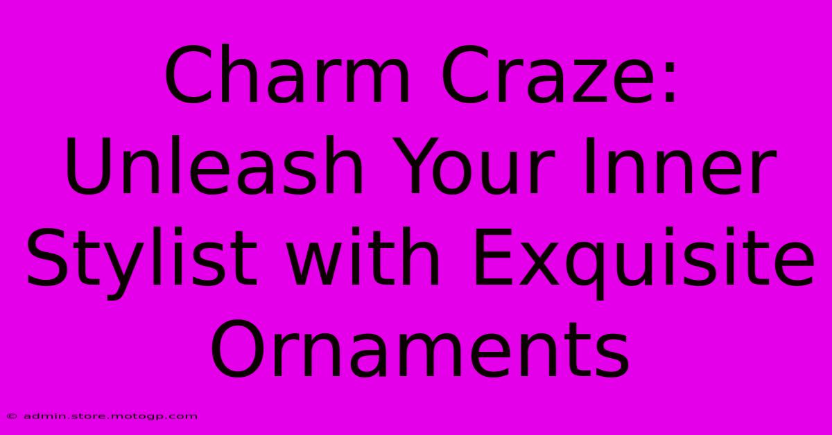 Charm Craze: Unleash Your Inner Stylist With Exquisite Ornaments