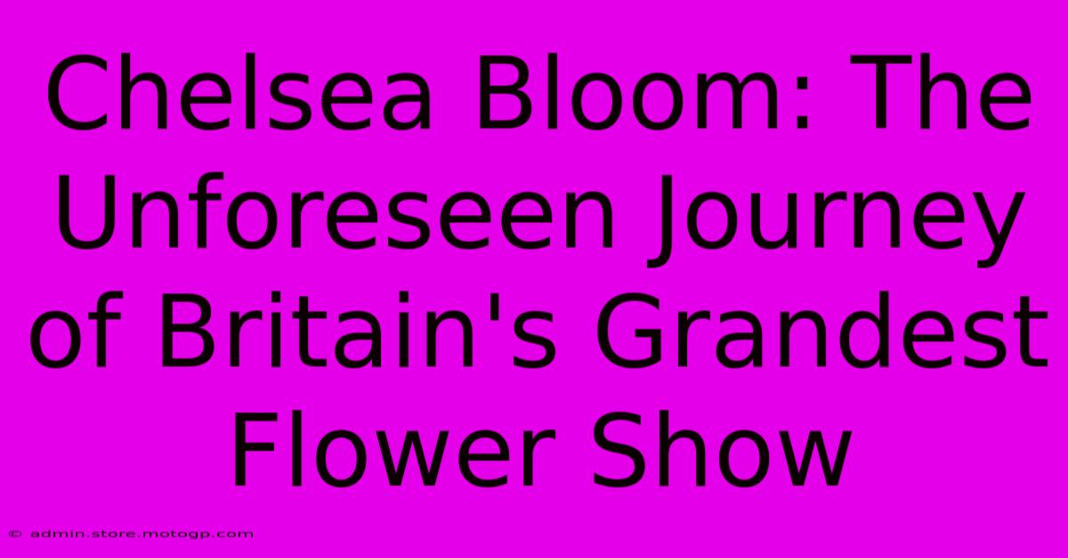 Chelsea Bloom: The Unforeseen Journey Of Britain's Grandest Flower Show