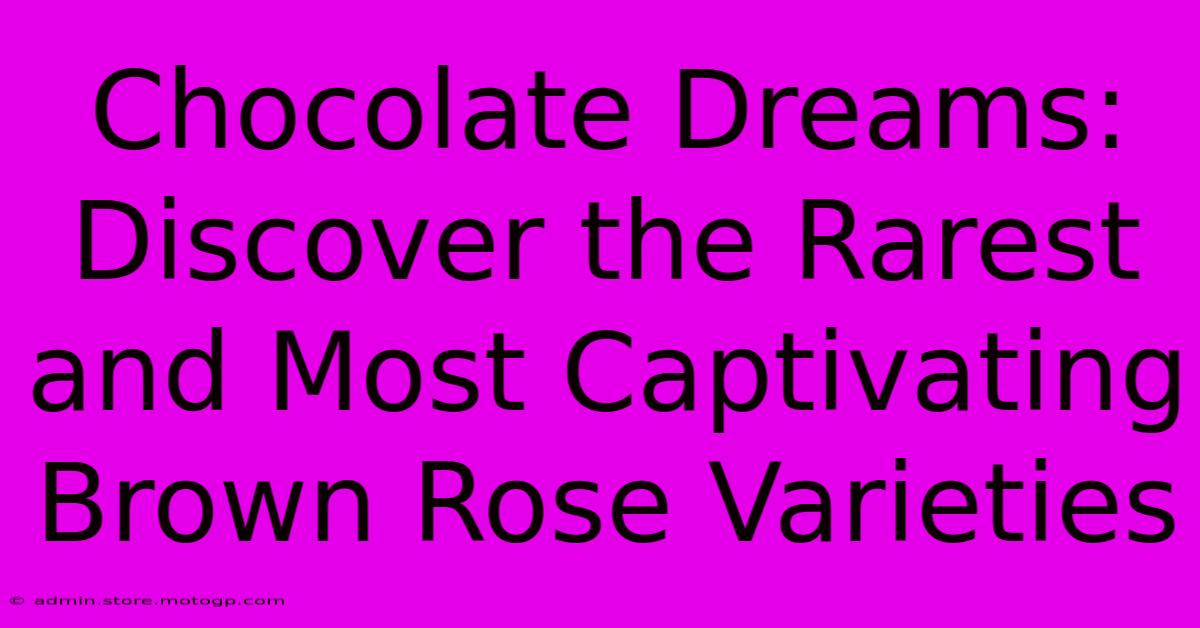 Chocolate Dreams: Discover The Rarest And Most Captivating Brown Rose Varieties