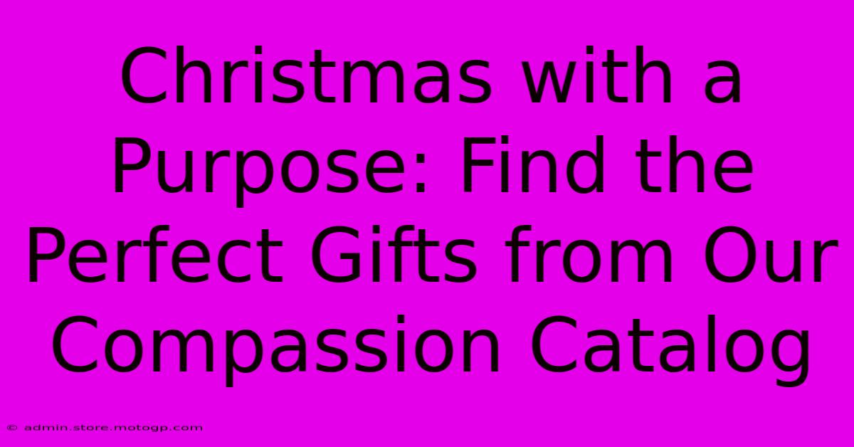 Christmas With A Purpose: Find The Perfect Gifts From Our Compassion Catalog